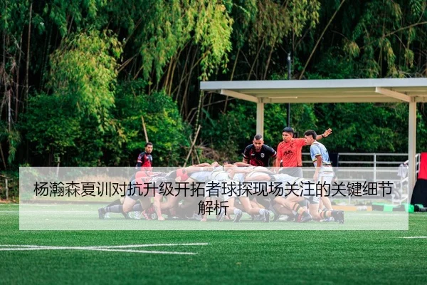 杨瀚森夏训对抗升级开拓者球探现场关注的关键细节解析